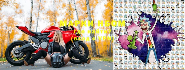индика Новозыбков
