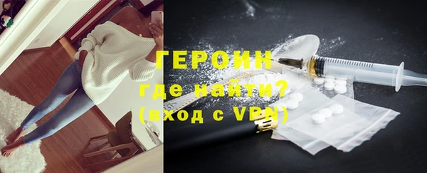 индика Новозыбков