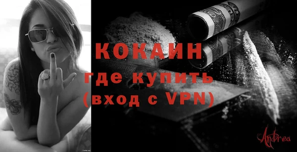 индика Новозыбков