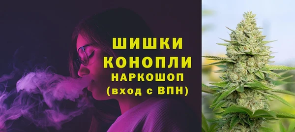 mdma Новодвинск