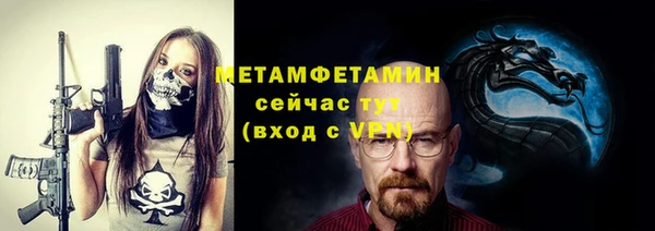 индика Новозыбков