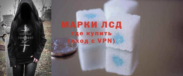 индика Новозыбков
