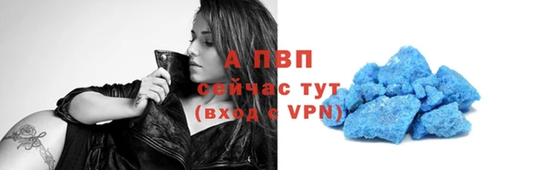 индика Новозыбков