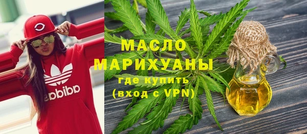 индика Новозыбков