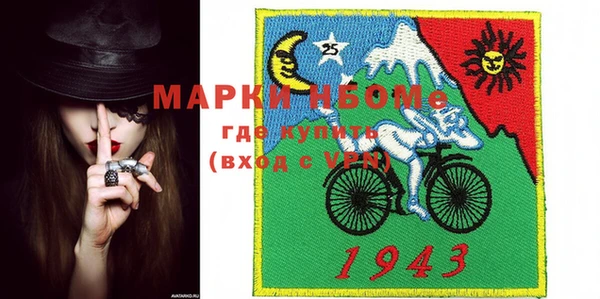 индика Новозыбков