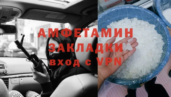 индика Новозыбков