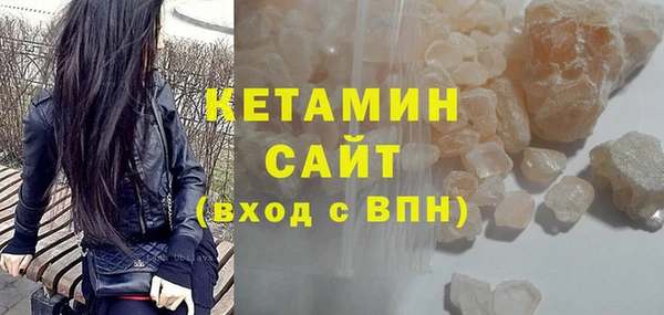 индика Новозыбков