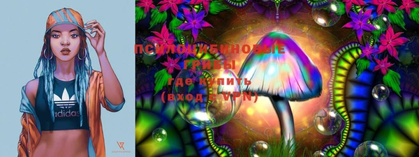 индика Новозыбков