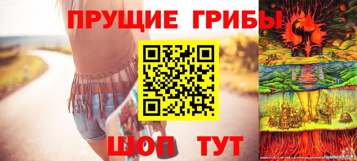купить наркотик  Вход с VPN  Кузнецк  Галлюциногенные грибы GOLDEN TEACHER 
