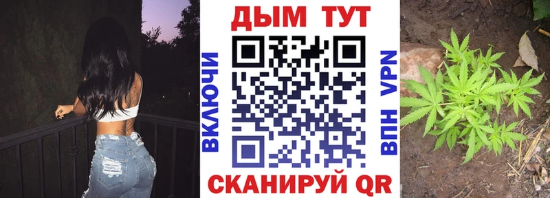 кракен как войти Кузнецк Канабис гибрид